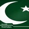 G128 5 Pack: Pakistan Pakistani Flag | 3x5 Ft | LiteWeave Pro Series Printed 150D Polyester | Country Flag, Indoor/Outdoor, Vibrant Colors, Brass Grommets, Thicker and More Durable Than 100D 75D Poly